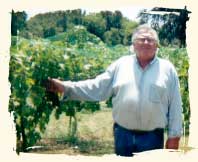 McReynolds Texas Winery