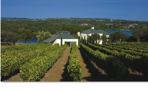 Stone House Vineyard Texas